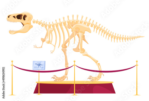 Predatory dinosaur skeleton on a pedestal in the museum. Skeleton of FMD carnivores and herbivores. Archaeological excavations of dinosaur fossils. Studies of ancient animals. 