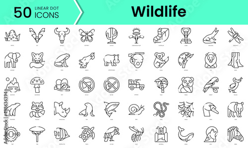 Set of wildlife icons. Line art style icons bundle. vector illustration
