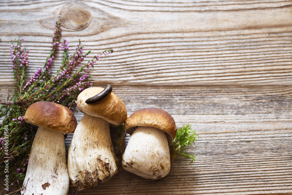 Fresh wild porcini mushrooms and heather flowers on a wooden old board, top view, copy space Fresh wild porcini mushrooms and heather flowers on a wooden old board, top view, copy space
