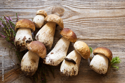 Fresh wild porcini mushrooms and heather flowers on a wooden old board, top view, copy space