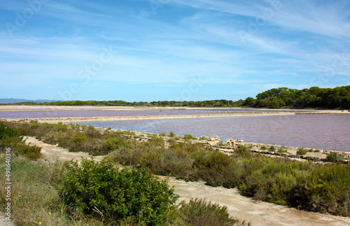 panorama of the maritime salt marshes in the tourist environment of the island of formentera in summer