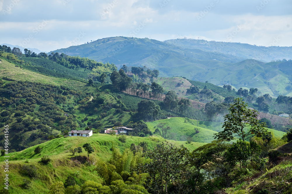 Landscape from a high mountain against a beautiful backdrop of a coffee and bamboo farm with its country house. Colombian Coffee Axis