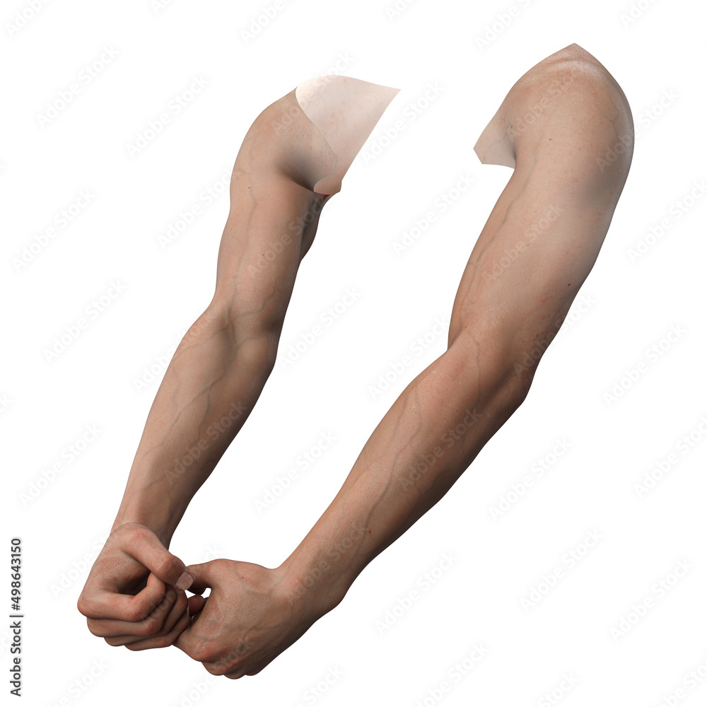 Isolated hand gestures, 3D Illustration, 3D Rendering Isolated hand gestures, 3D Illustration, 3D Rendering