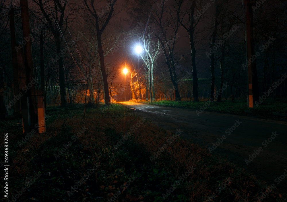 Walkway through a park at night . Illuminated park at nighttime