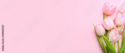 Beautiful tulips on pink background with space for text © Pixel-Shot