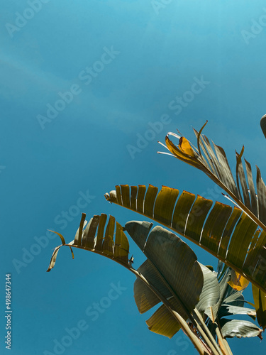 swimming pool summer in turkey
