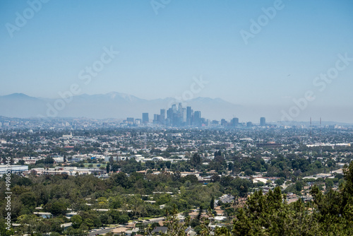 Sunny Skyline Views