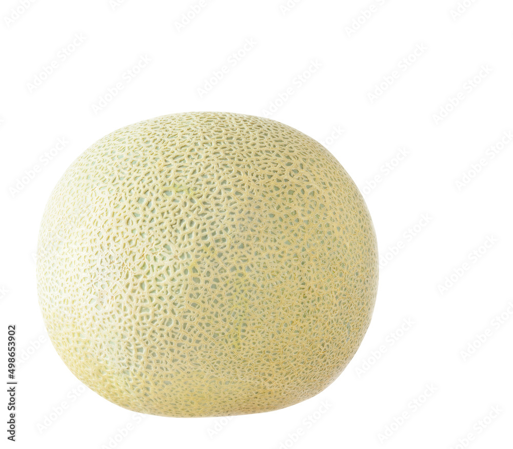 Whole cantaloupe melon with uneven texture on a white Whole cantaloupe melon with uneven texture on a white