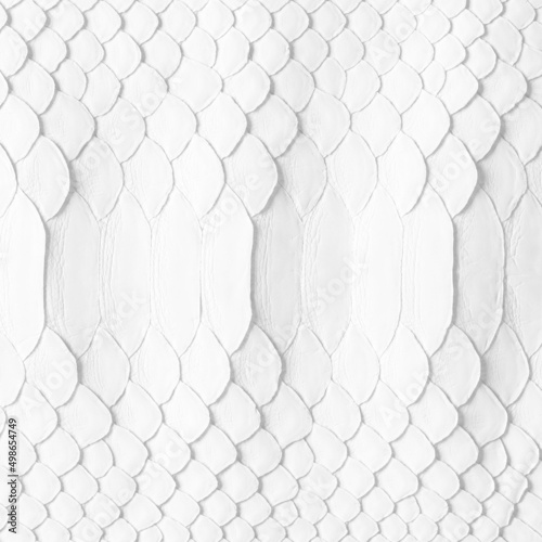 3D Tapete im Flur - Fototapete natural snake skin as a background. white snakeskin texture
