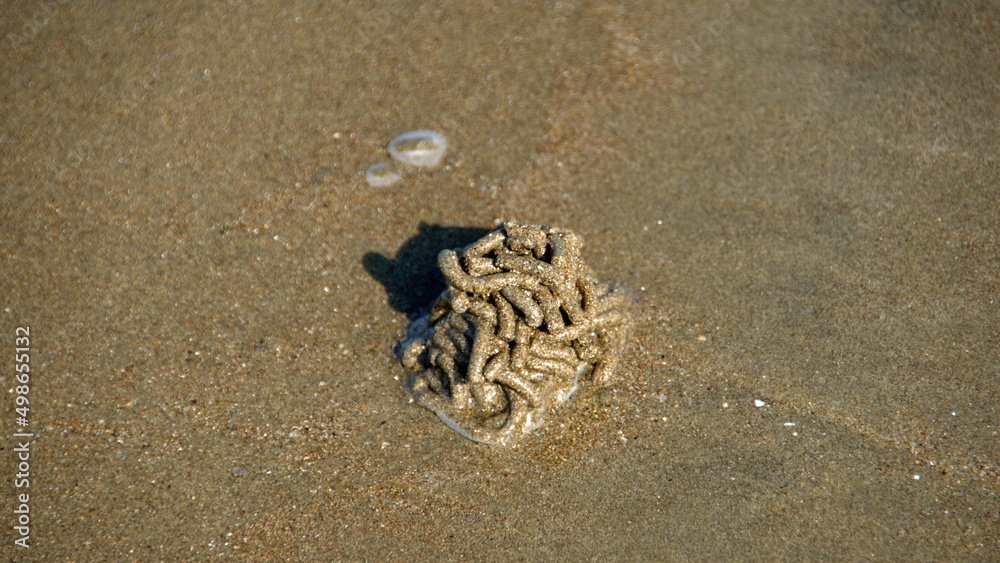 Pile of sand left on the beach by a burrowing worm, in Canoa, Ecuador Pile of sand left on the beach by a burrowing worm, in Canoa, Ecuador