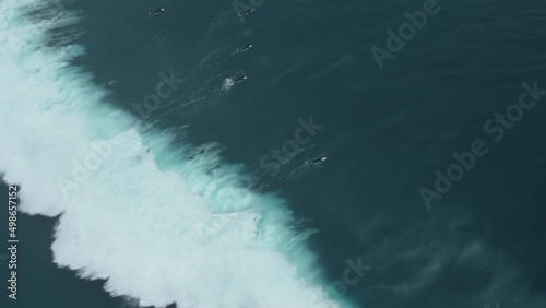 big wave surfers ocean water in southern California  top down drone shot