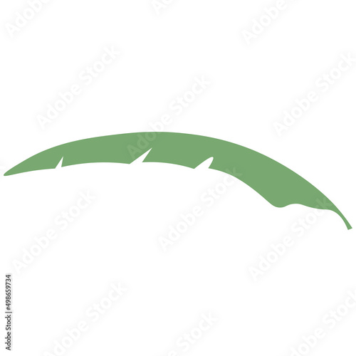 Tropical Leaves individual florals elements