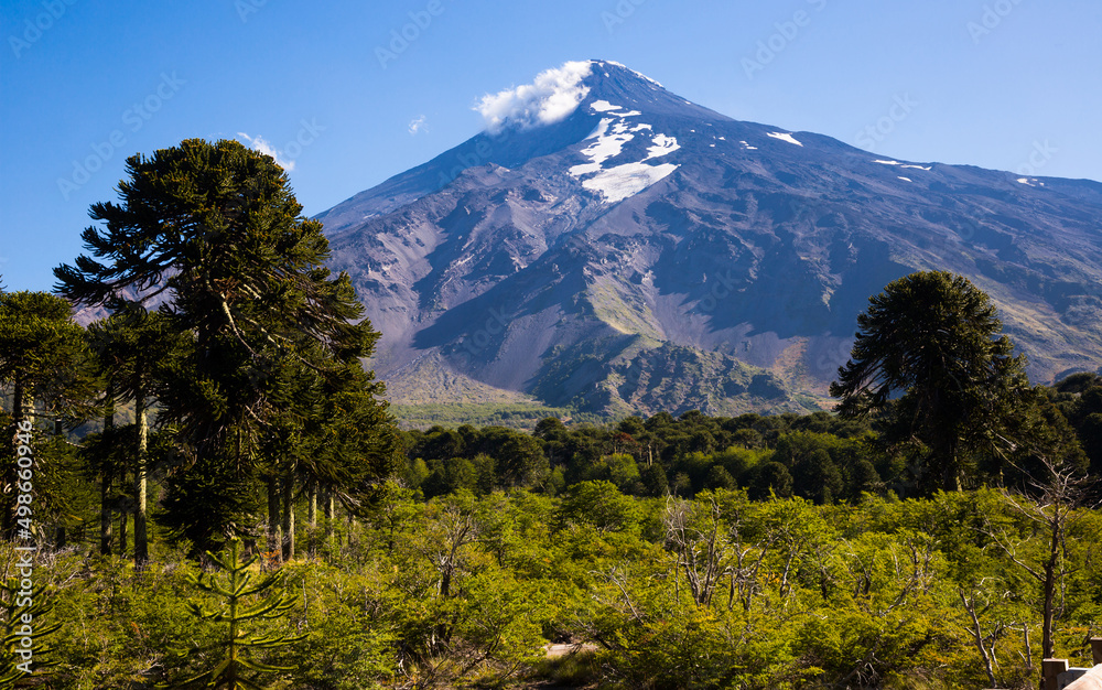 Fototapeta premium View of Lanin Volcano in National Park of Argentina near border with Chile. Patagonia, Argentina, Chile, Andes