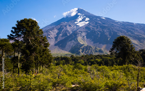 View of Lanin Volcano in National Park of Argentina near border with Chile. Patagonia, Argentina, Chile, Andes
