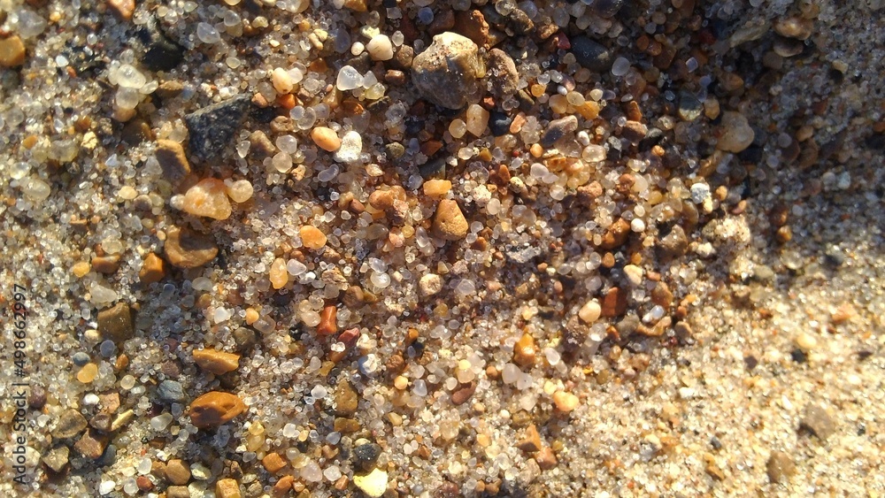 small pebbles and shells on the sand