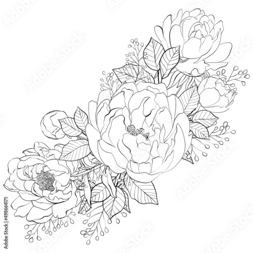Bouquet of wild flowers. Composition from botanical elements. Flowers and leaves in line art style. Flower coloring page.