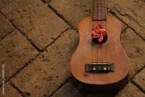 Photography ukulele con flores de plumeria rubra guiechachi