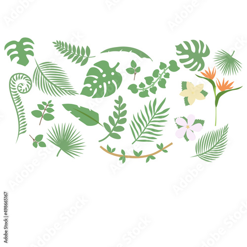 set of tropical leaves