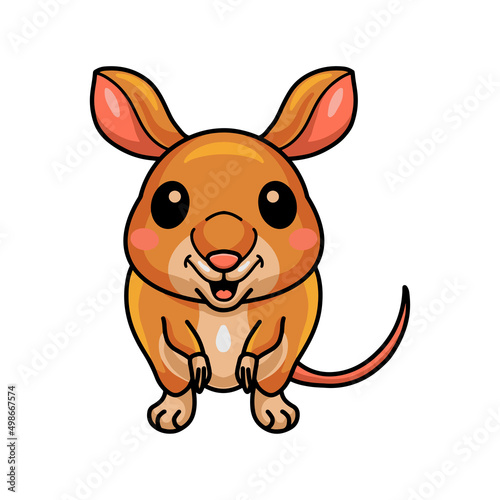 Cute little bandicoot cartoon character