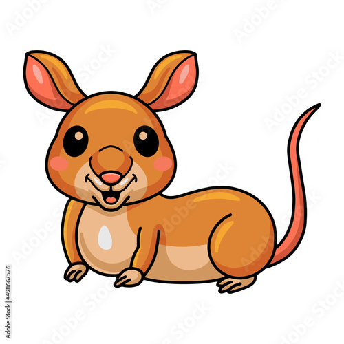 Cute little bandicoot cartoon character