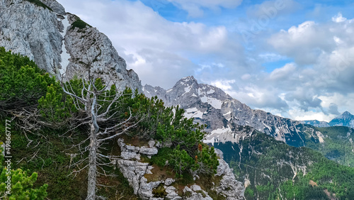 Scenic view through the forest on the summit Jezerska Kocna in Kamnik Savinja Alps in Carinthia, border Austria and Slovenia. Mountain peaks in the Vellacher Kotschna. Mountaineering. Freedom concept photo