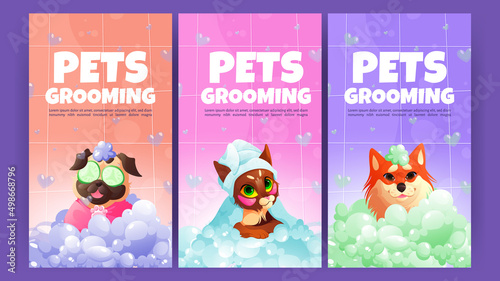 Pets grooming posters with cute dogs and cat in bath with soap foam. Vector banner of domestic animal spa with cartoon illustration of happy puppies and kitten relax in bathroom