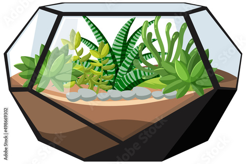 Cute glass geometric terrariums with succulents on white background