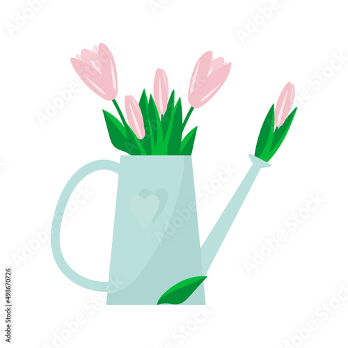 pink tulips in watering can