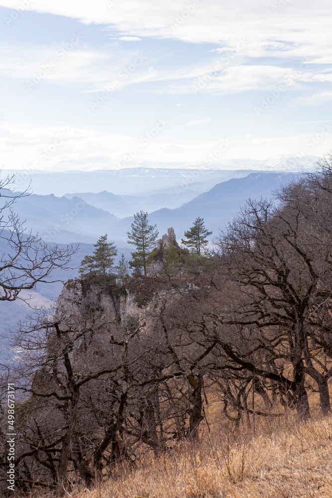 Winter mountain forest located on the ridge of the tourist route. Winter mountain forest located on the ridge of the tourist route.