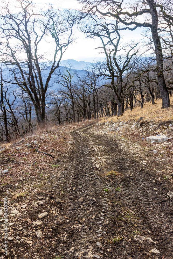 Winter mountain forest located on the ridge of the tourist route. Winter mountain forest located on the ridge of the tourist route.