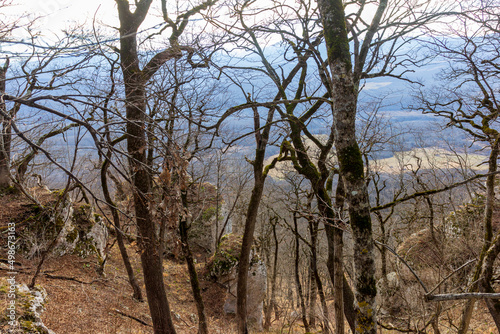 Winter mountain forest located on the ridge of the tourist route.