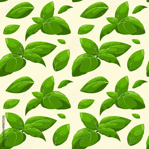 Seamless pattern with basil leaves. 