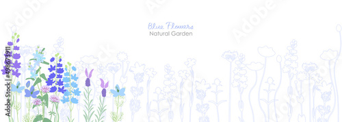 青い草花のナチュラルガーデン