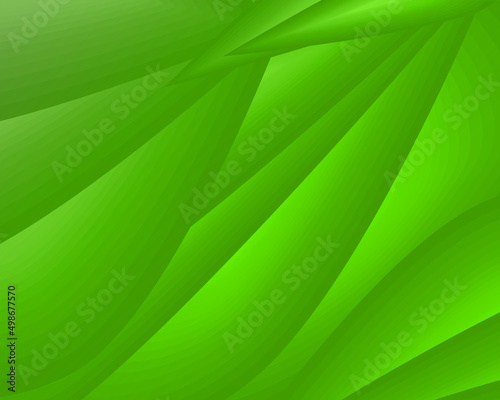 Abstract background green leaf light environment pattern wallpaper backdrop vector illustration