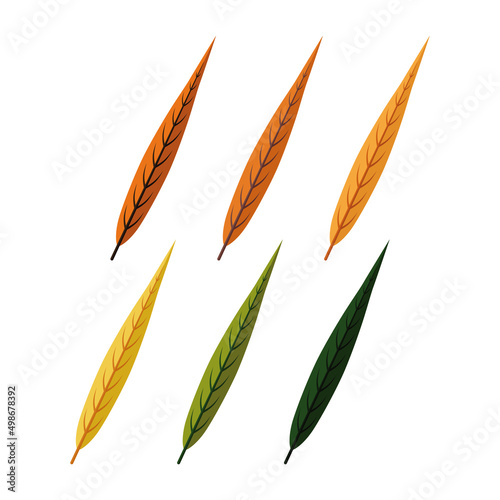 Willow leaves. Six autumn colorful willow leaves. Vector illustration isolated on a white background for design and web.