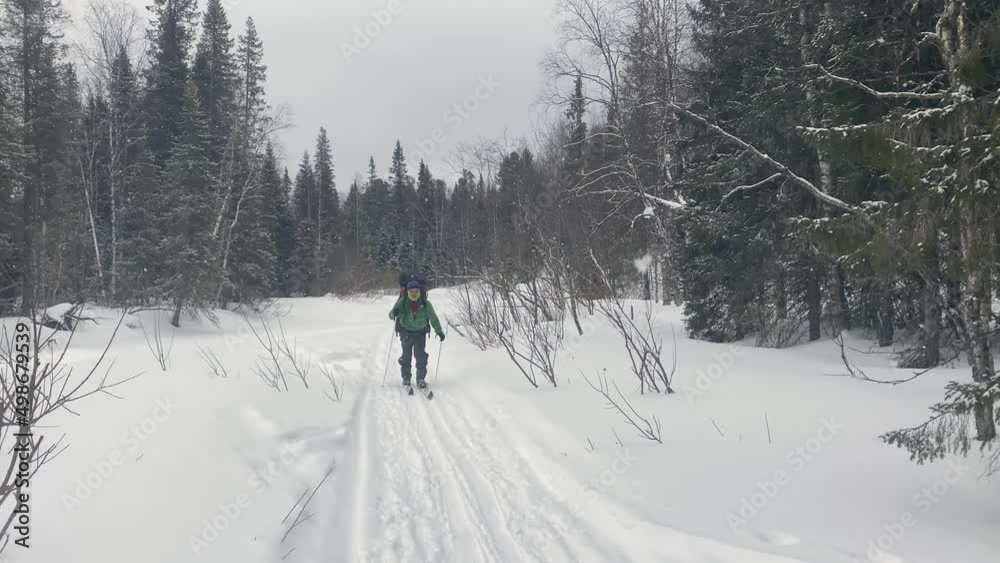 A man with a backpack rides on tourist skis along a snow-covered path. Ski trip in the forests of Russia. Beautiful winter landscape. A man with a backpack rides on tourist skis along a snow-covered path. Ski trip in the forests of Russia. Beautiful winter landscape.