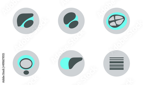 Set of Icon of Extended FAST Examination positive