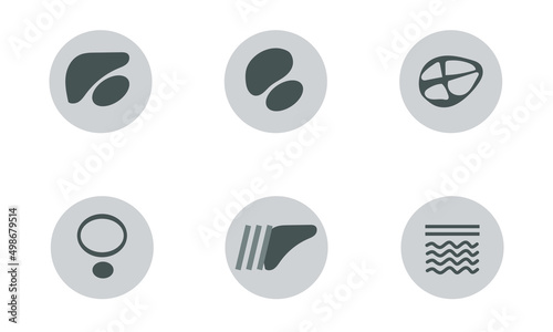 Set of Icon of Normal Extended FAST Examination 