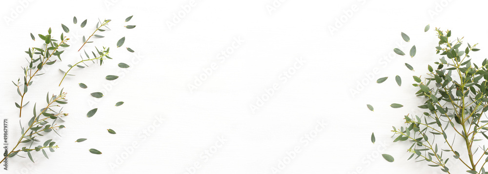 Top view image of eucalyptus over wooden white background. Flat lay Top view image of eucalyptus over wooden white background. Flat lay