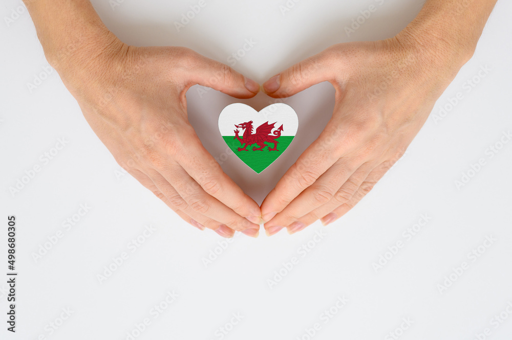 Fototapeta premium The national flag of Wales in female hands. The concept of patriotism, respect and solidarity with the citizens of Wales.