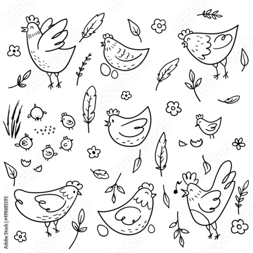 Vector sketch hand drawn doodle images of chickens, hens, roosters, eggs, feathers in cartoon style, line art. Elements for the eco design of the cover of food packaging, advertising banner, postcard. photo