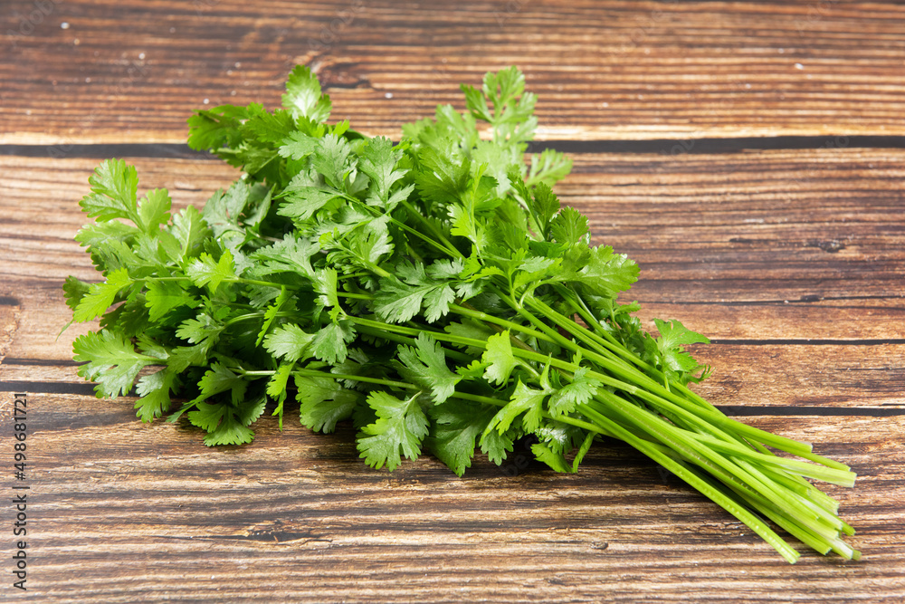 coriander or Chinese parsley on wooden table coriander or Chinese parsley on wooden table