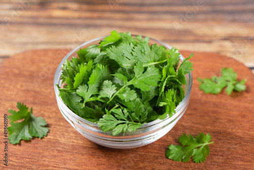 fresh cilantro or Chinese parsley on wooden table