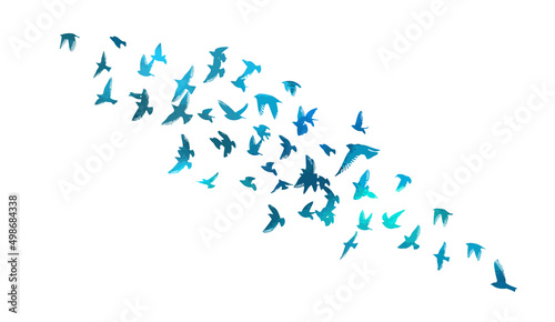 A flock of blue birds. Vector illustration