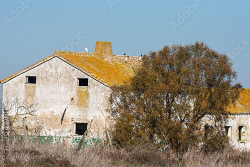 Old house, ruin, in Donana national park, Andalusia Spain photo