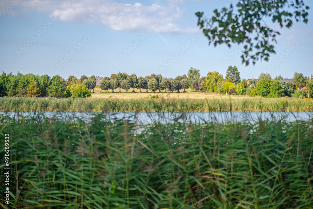 Landscape , nature. Water, lake, pond. Beautiful weather. Trees and bushes.
