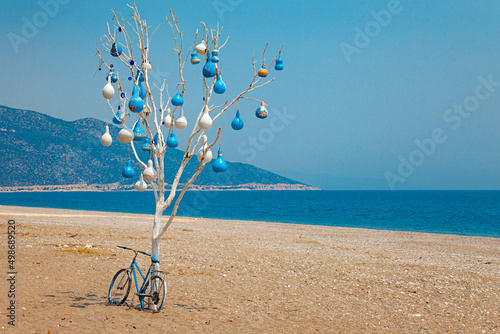 Beach composition with white tree and bicycle