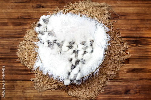 Newborn Photography Digital Background Nest with white filler on real wood floor