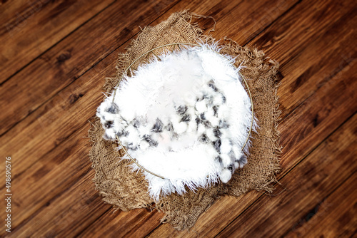 Newborn Photography Digital Background Nest with white filler on real wood floor
