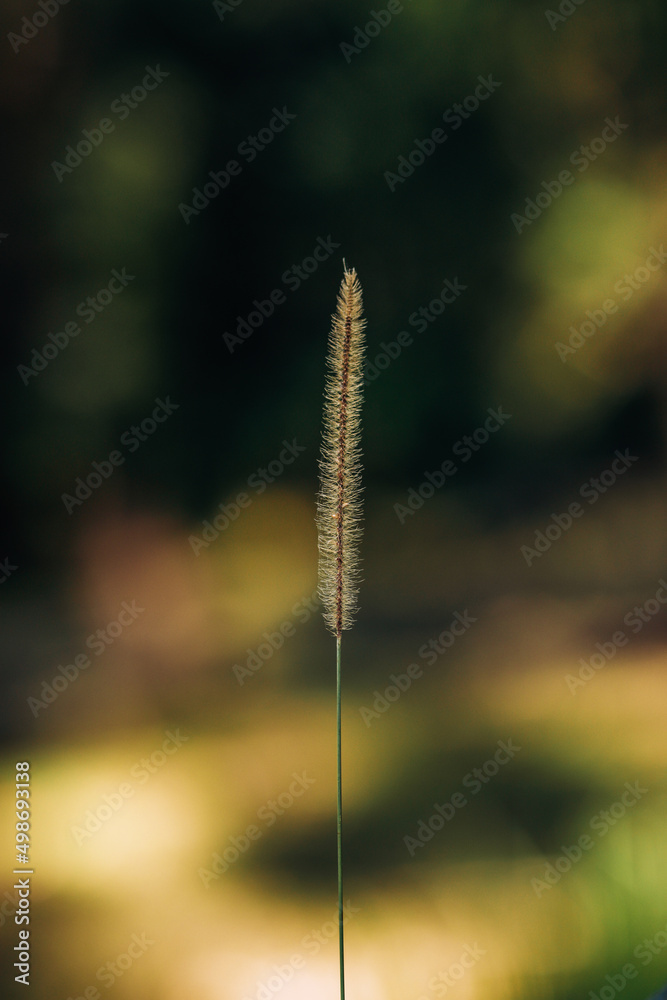 Corners of nature that surrounds us in all their splendor Corners of nature that surrounds us in all their splendor